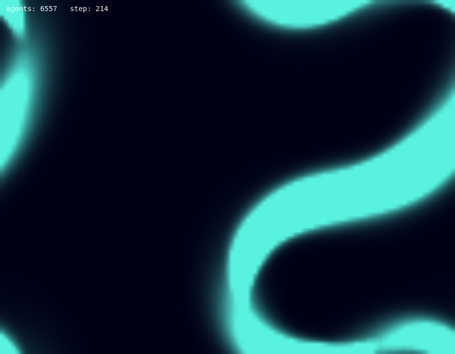 Claude Sonnet 5 R112 – rendered output