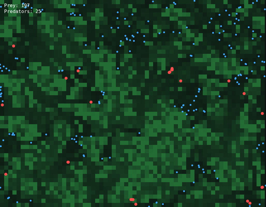 Claude Sonnet 5 R113 – rendered output